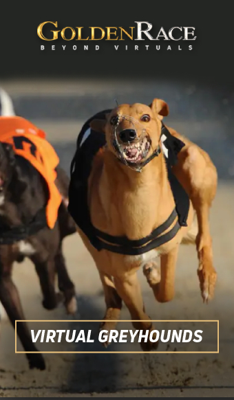Dog Racing